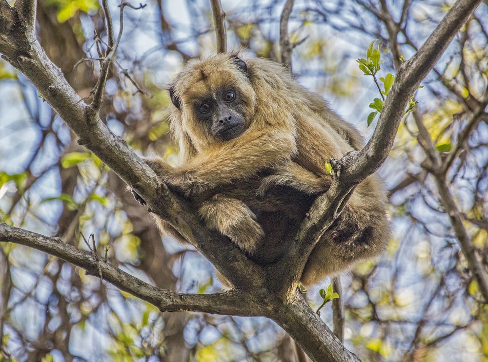 Фотография автора Marina Martorelli