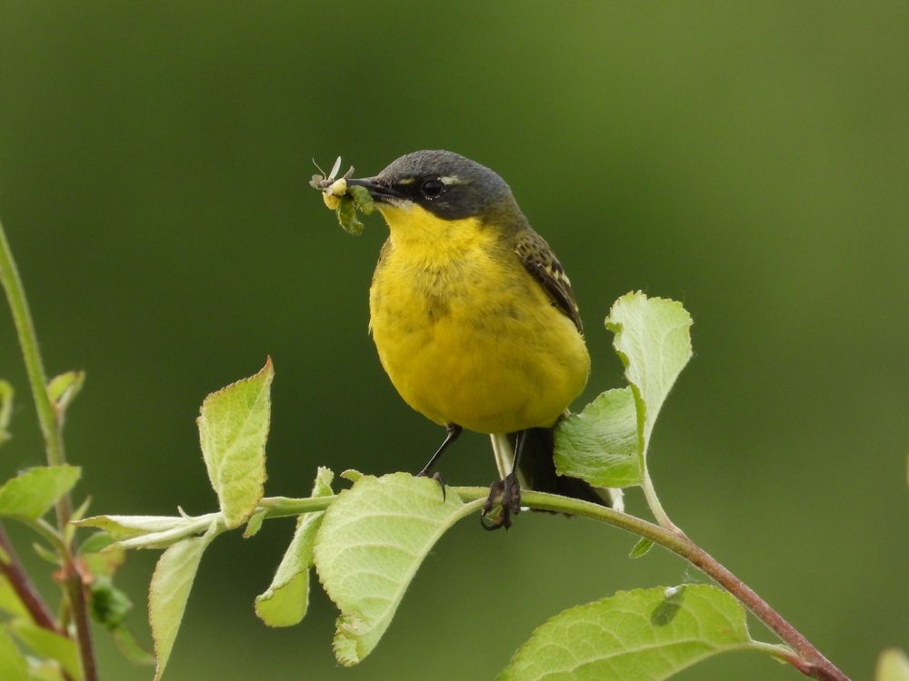 Photograph by Владимир Джерихов