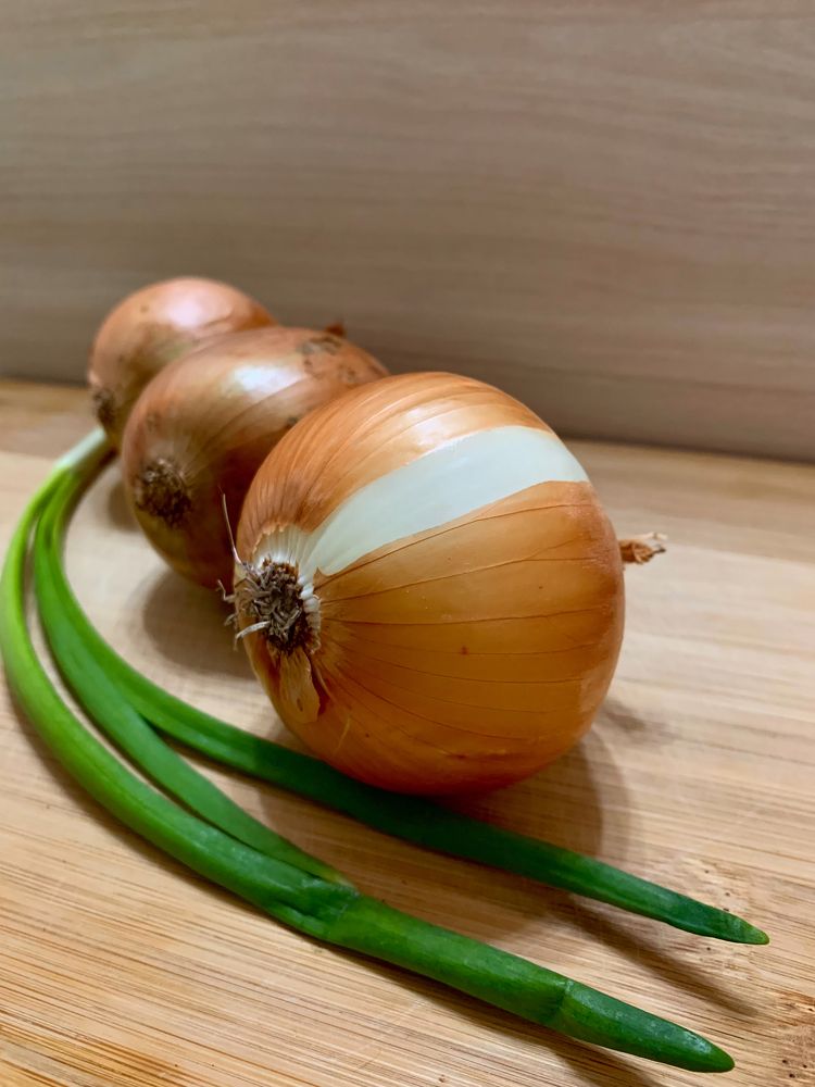 Photograph by Елена Макуха