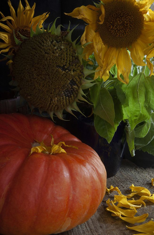 Photograph by Вера Крутилина