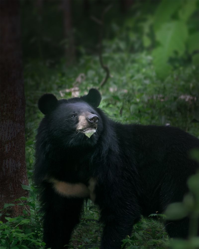 Photograph by Rahul Sinha