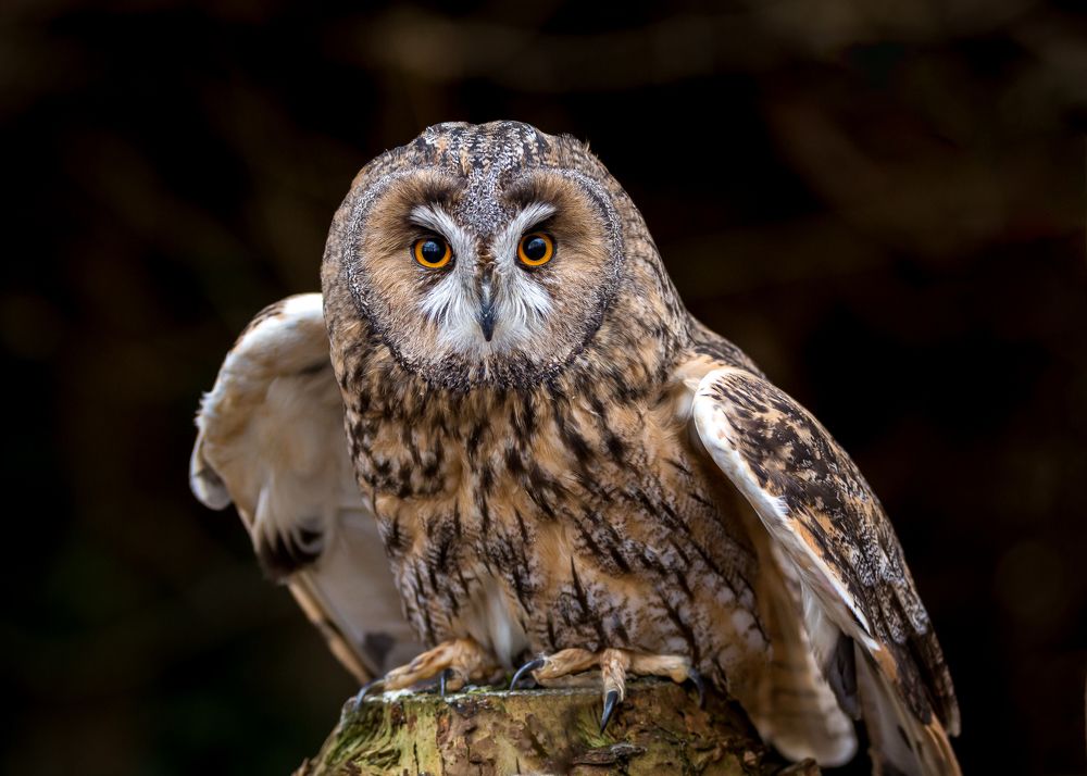 Photograph by Anatoly Chomko