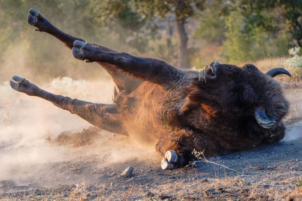 Photograph by Emil Enchev