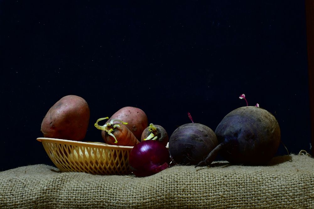 Photograph by Николай Абакумов