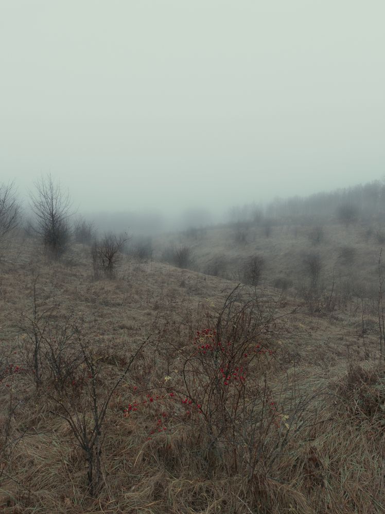 Photograph by Виктор Карпухин