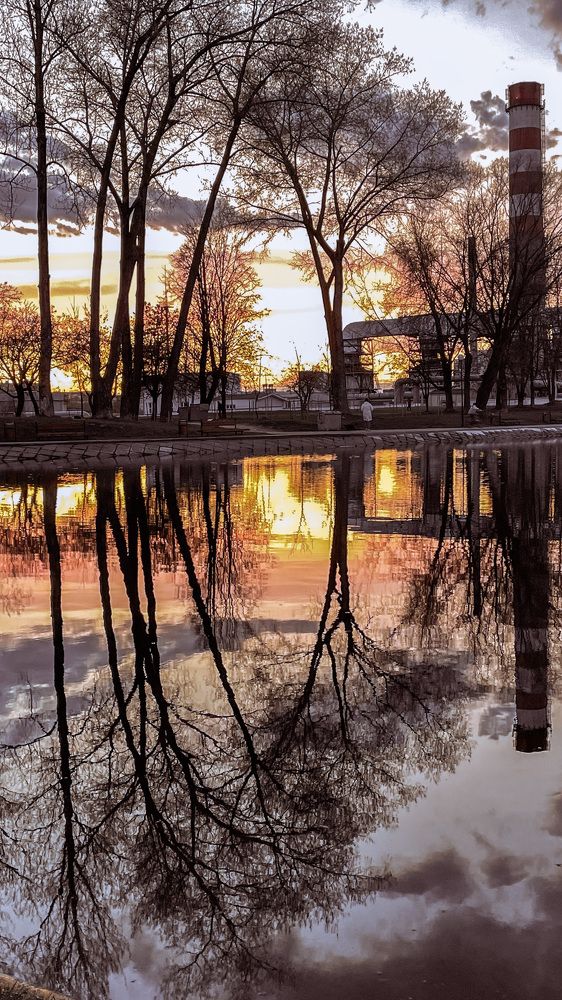 Photograph by Людмила Казак