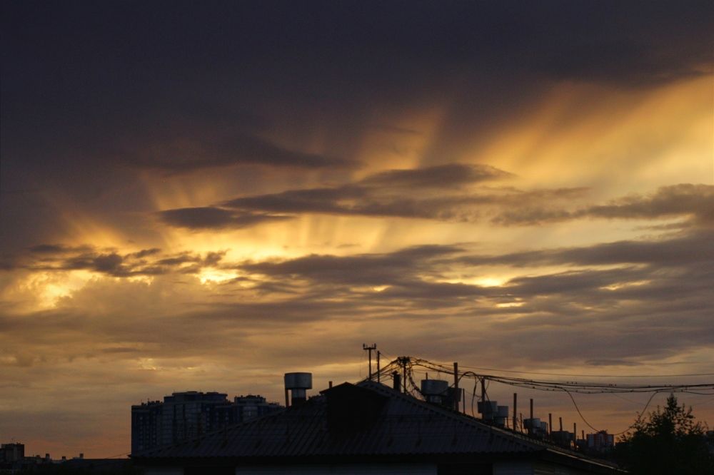 Photograph by Янтарная Елена