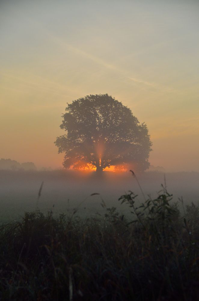 Photograph by Андрей Антипатров