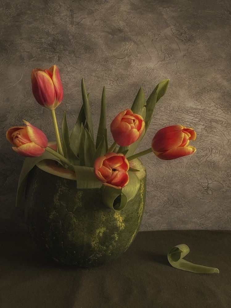 Фотография автора Евгения Никишина