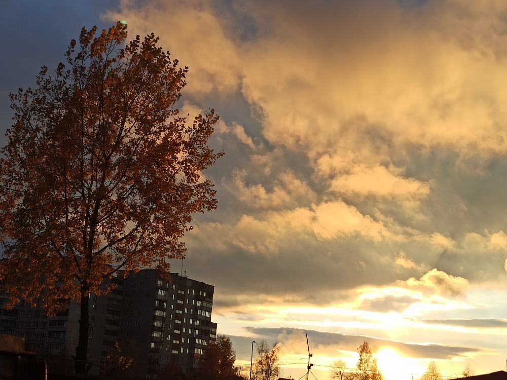 Фотография автора Александр Осинцев