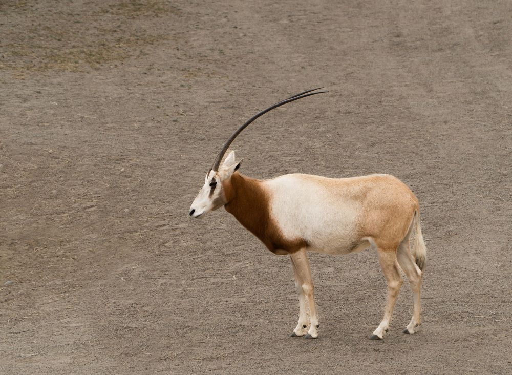 Photograph by Irene Pravdiuk