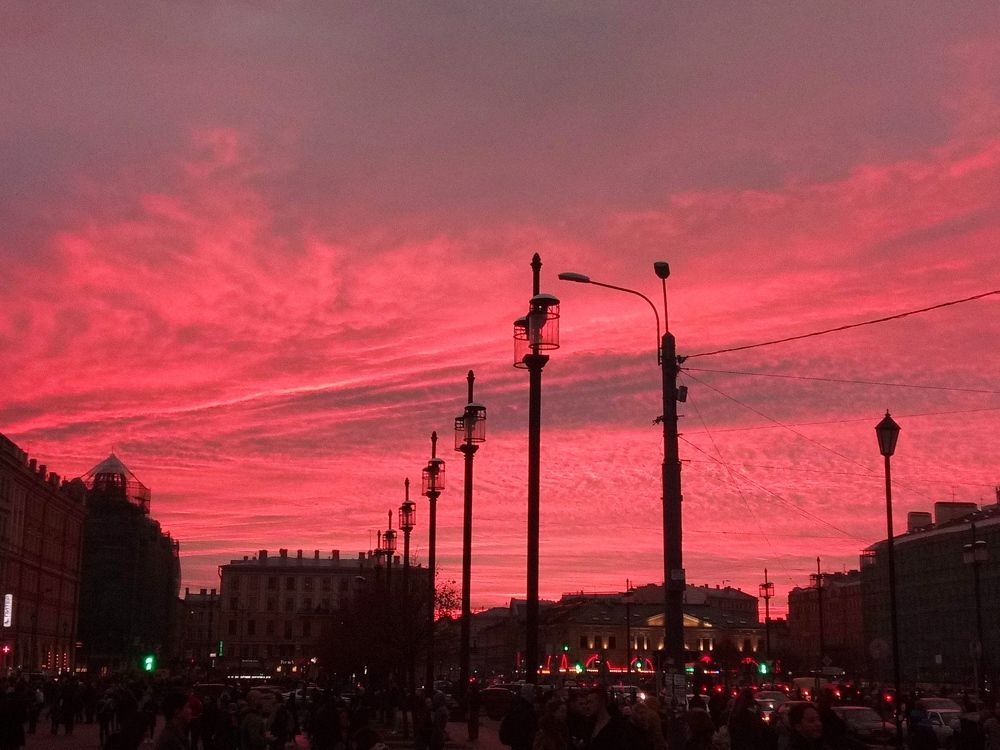 Photograph by Olga Kot