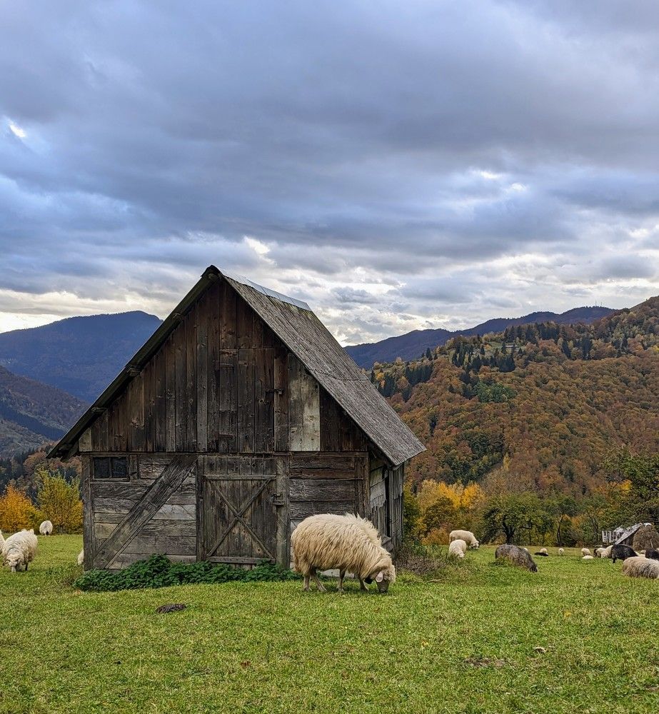 Photograph by Viktoriya Filip