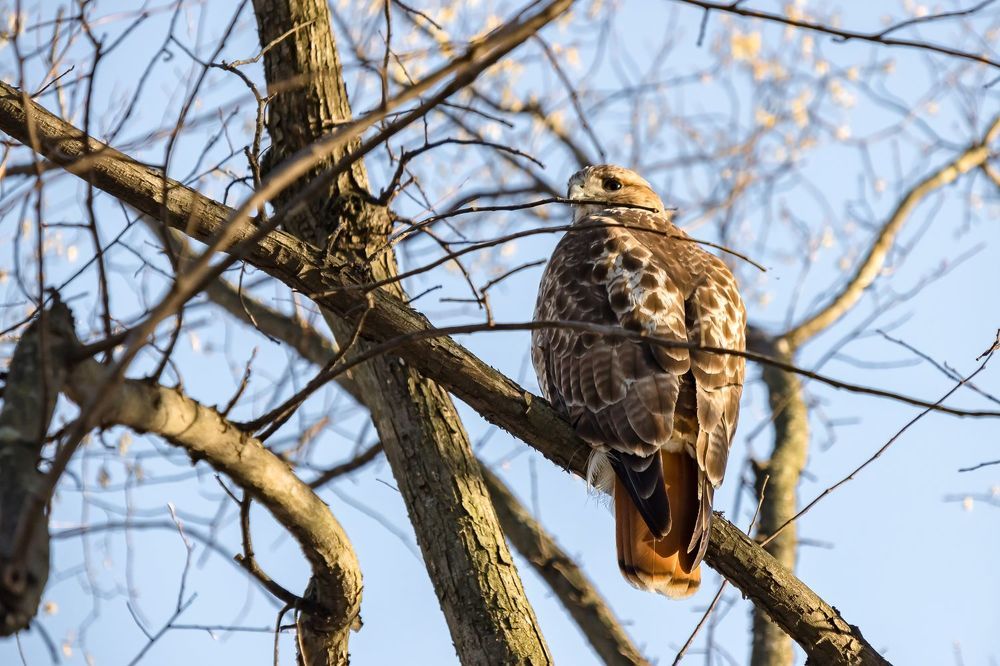 Photograph by Кермен Манджиева