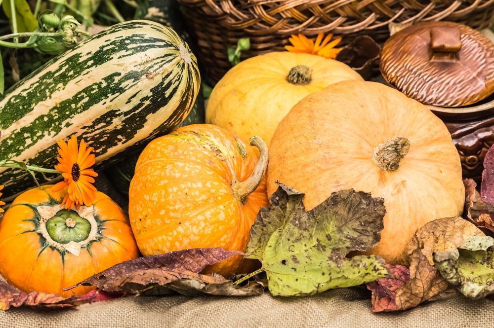 Photograph by Nadezhda