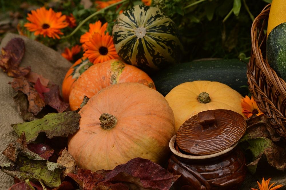 Photograph by Nadezhda