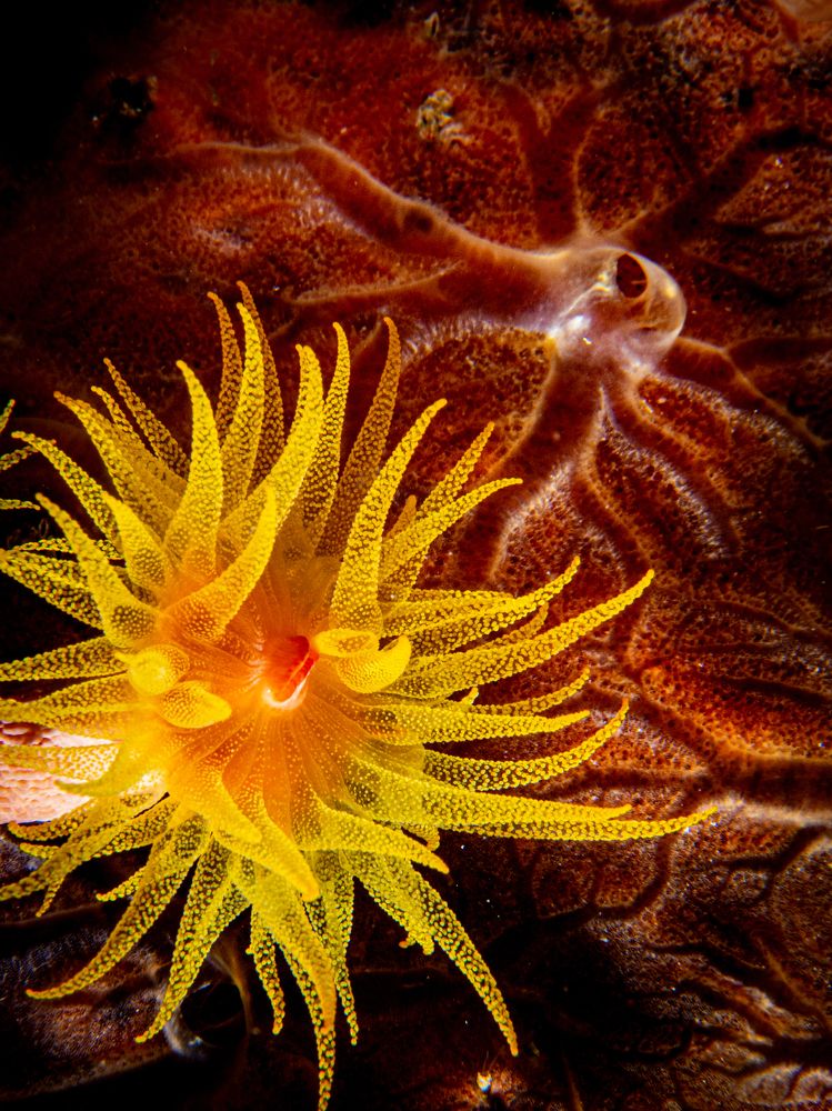 Photograph by Alexander Plakida