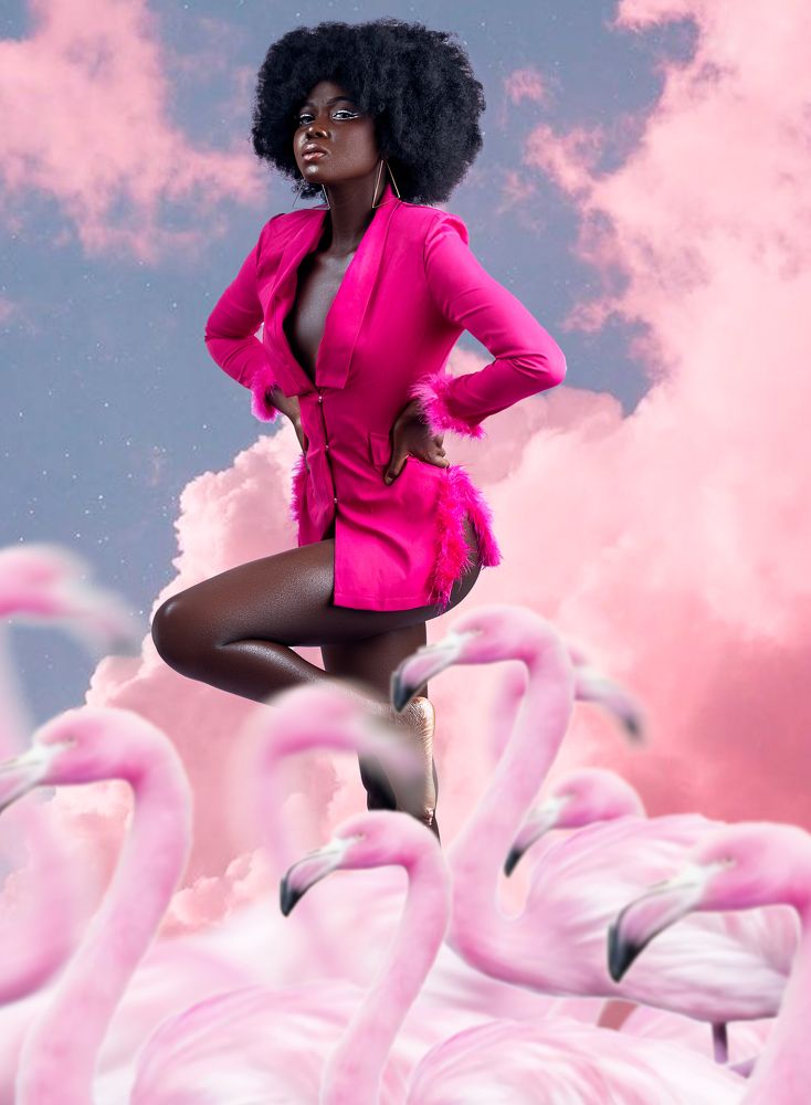 Queen and a Flamingo