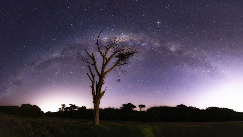 Arbol de estrellas