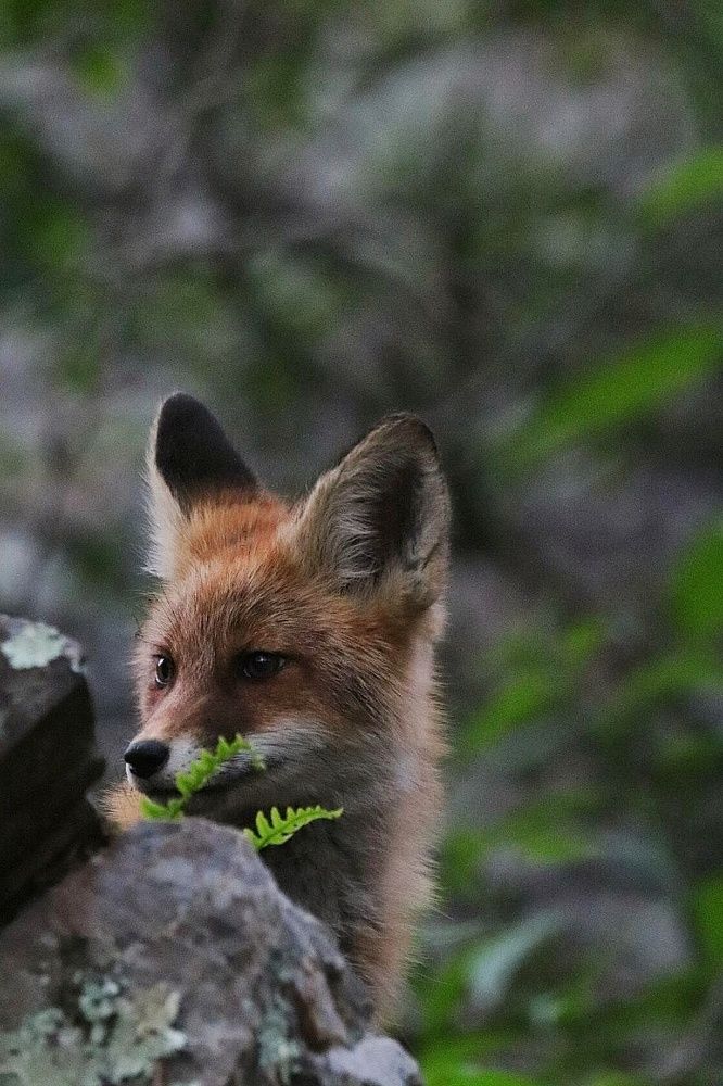 Photograph by Татьяна Кужлекова