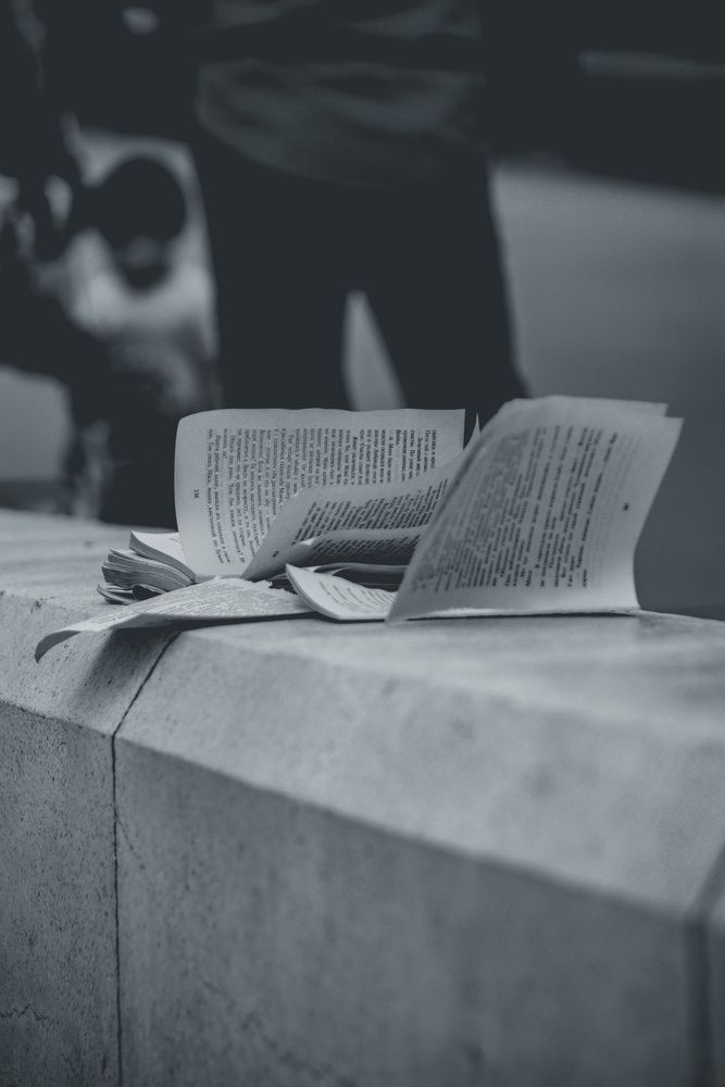 Photograph by Гарнец Маргарита