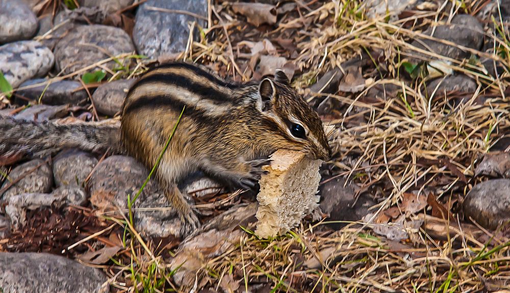 Photograph by Юрий Борик