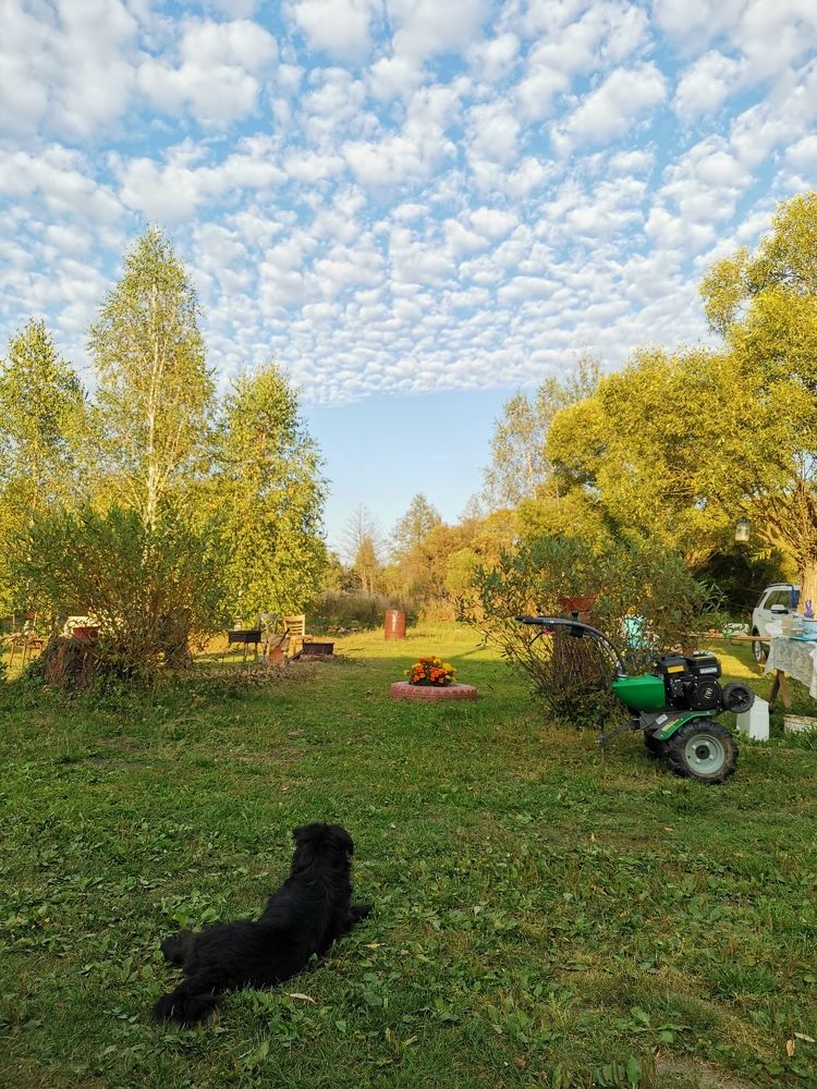 Photograph by Александр Шуршиков