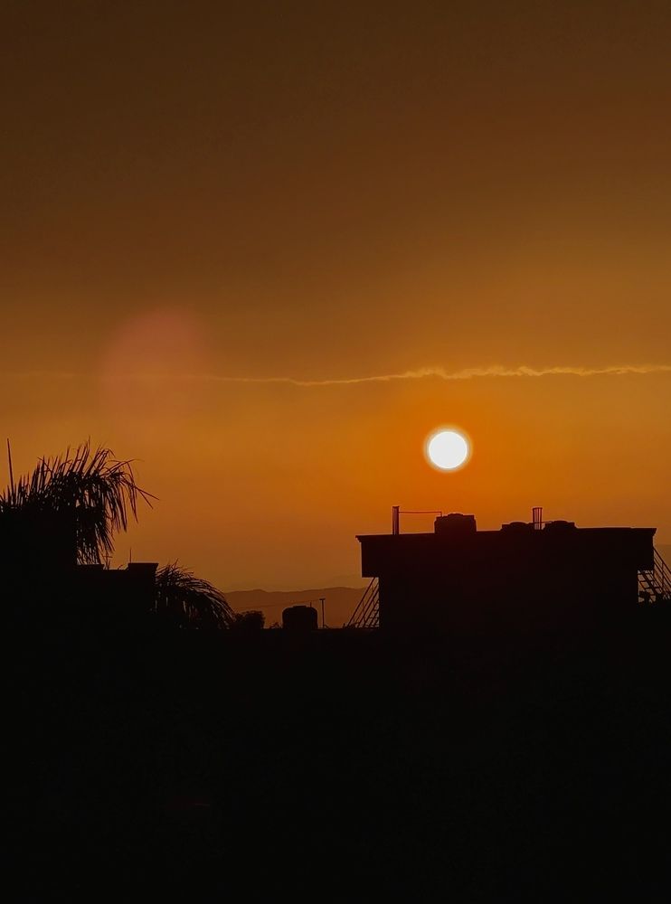 Photograph by Sharma Dr Megha