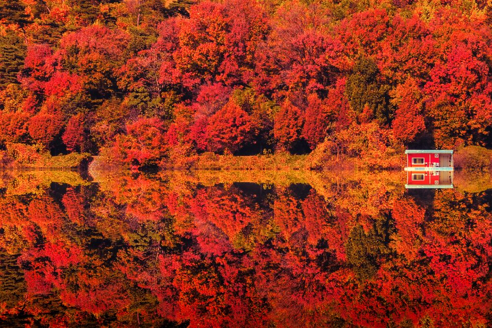 Lake In Autumn