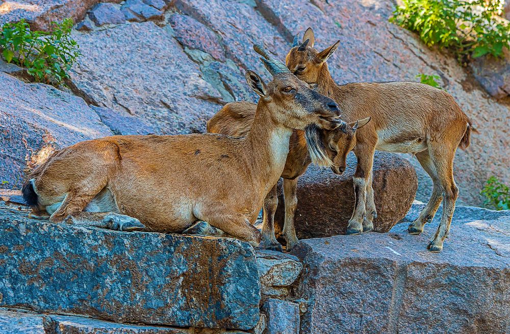 Photograph by Алексей Афонин