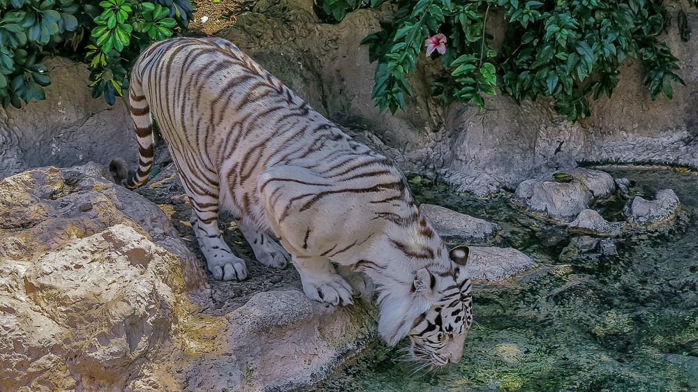 Photograph by Алексей Афонин