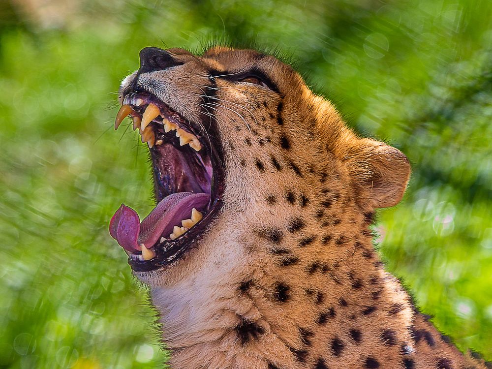 Photograph by Алексей Афонин