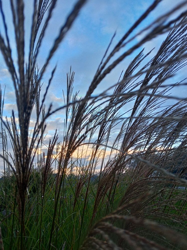 Photograph by Marijana Dragosavljevic