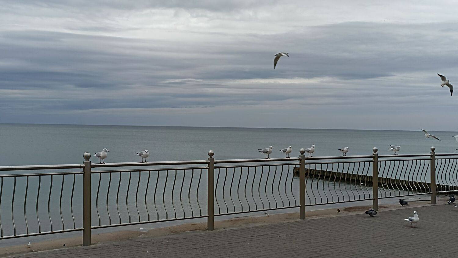 Photo #9862343
