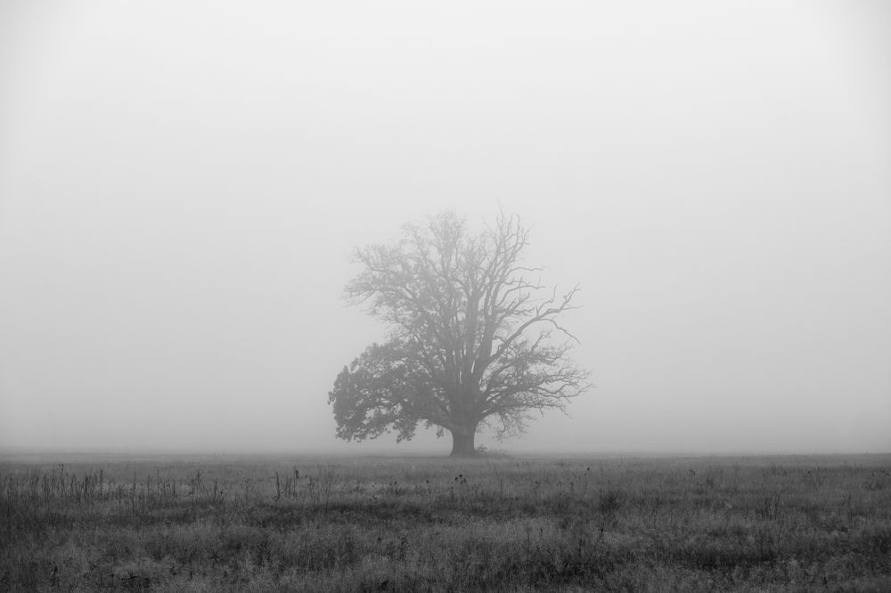 Photograph by Lukasz Maliszewski