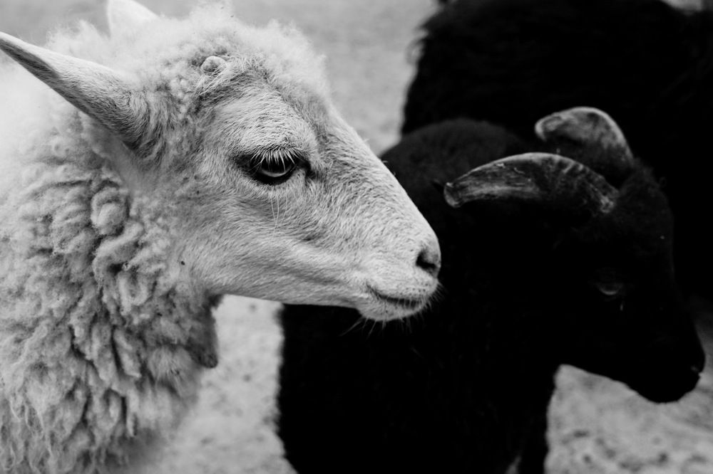 Photograph by Армен Арутюнов