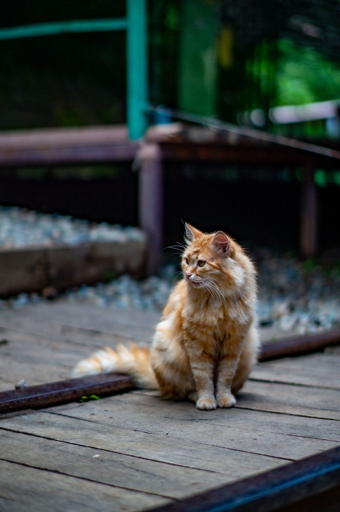 Photograph by Роман Крупченко