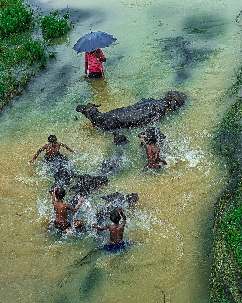 Photograph by Anirban Pan