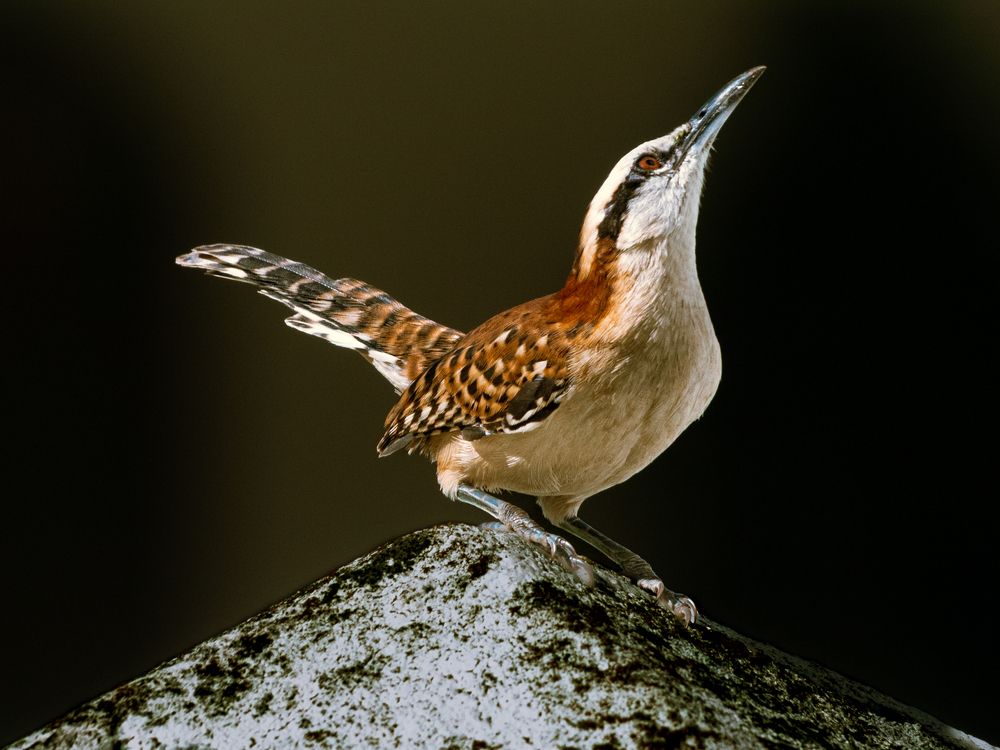 Photograph by Jesse Cason