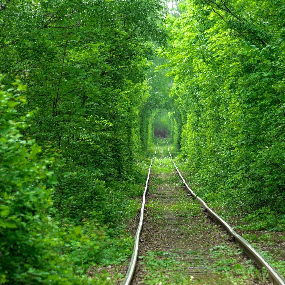 Яблоневый овраг