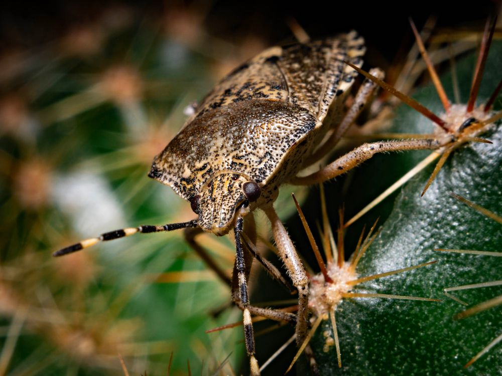 Photograph by Константин Петров