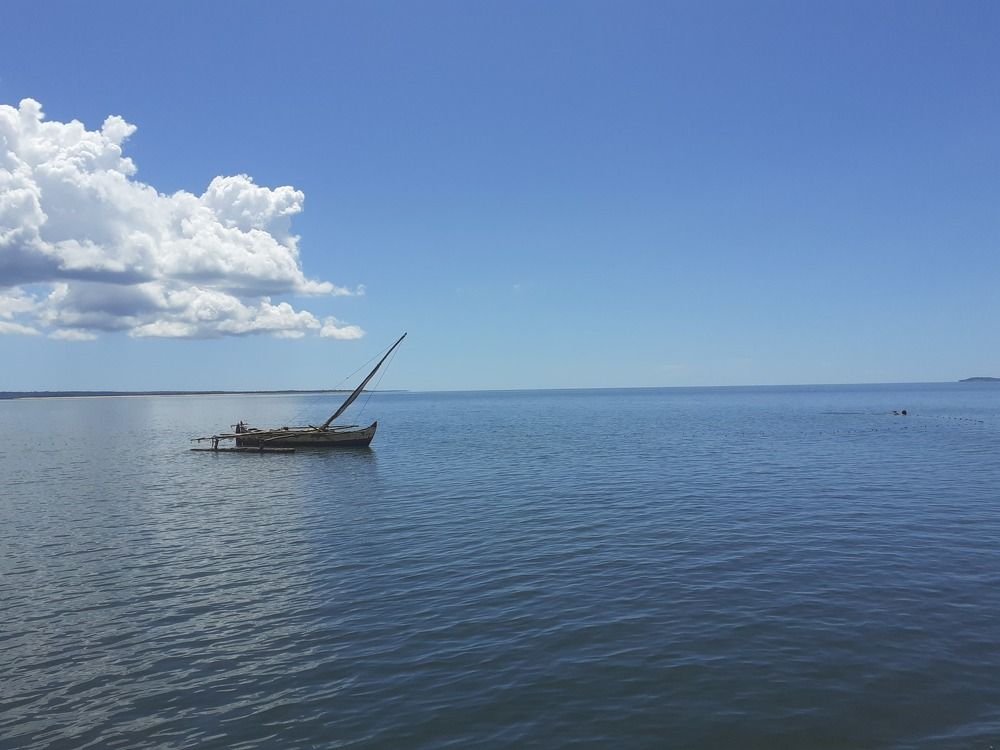 Photograph by Taylor VERIZA