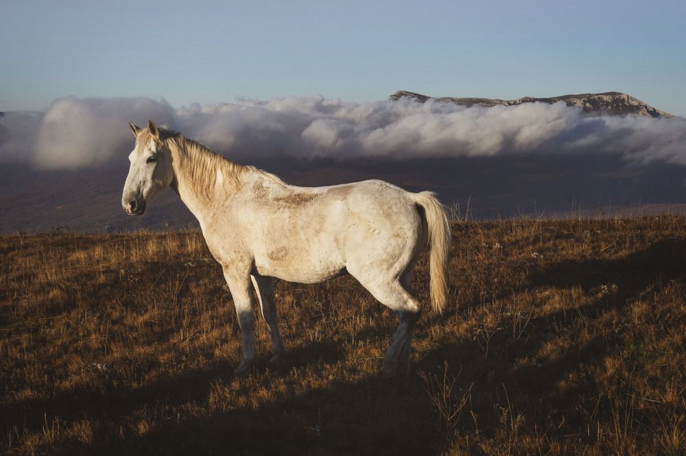 Photograph by Ольга Католичук