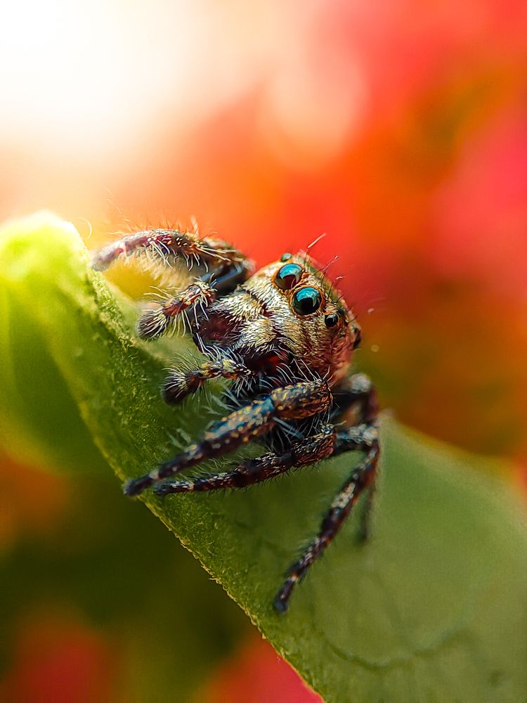 Photograph by amal _u_k