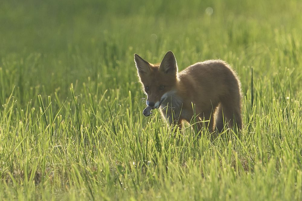 Photograph by Puum Mati