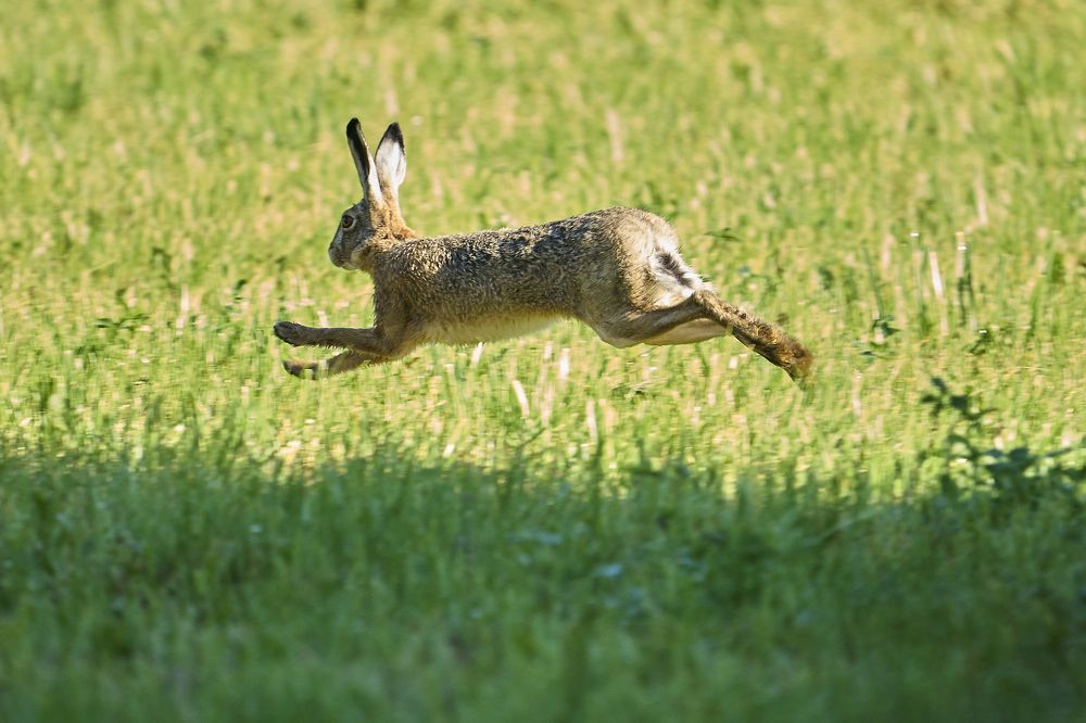 Photograph by Puum Mati