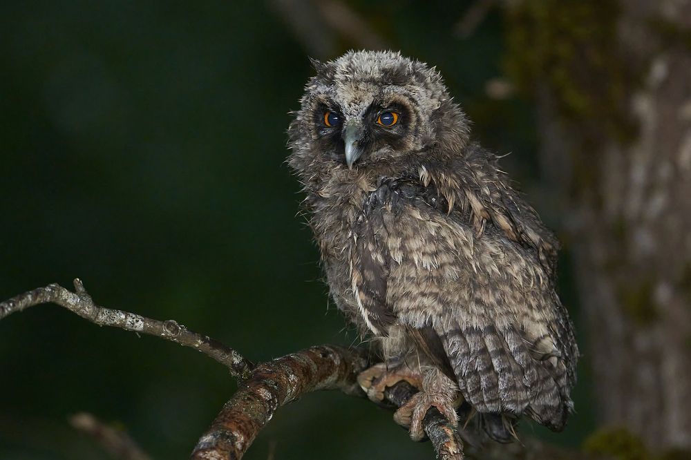 Photograph by Puum Mati