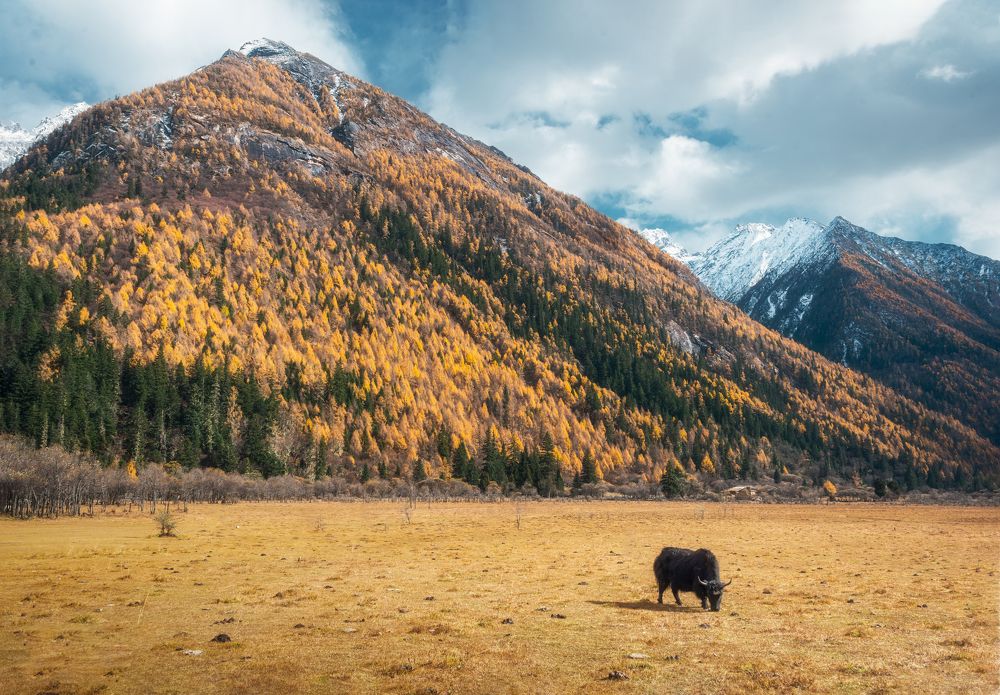 Autumn Ranch