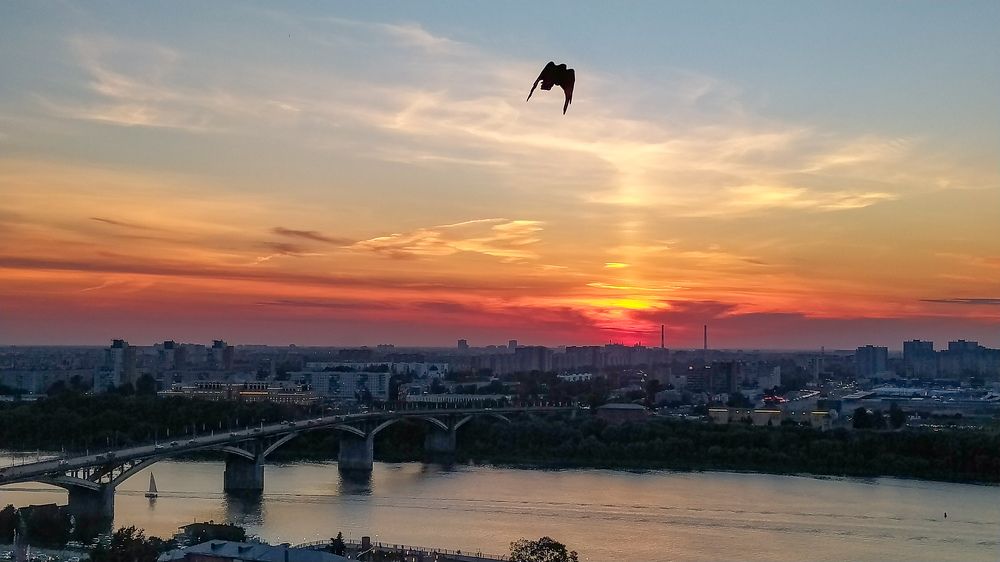 Photograph by Виталий Грачёв