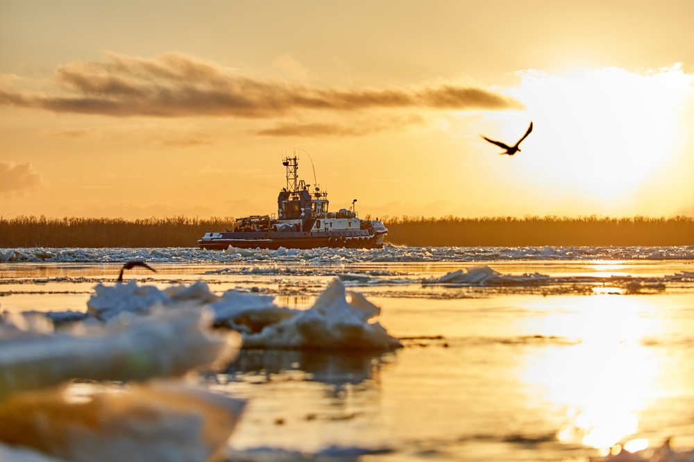 Photograph by Aleksandr Yarkov